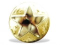 brass-dome-with-brass-star