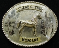clear-creek-morgans